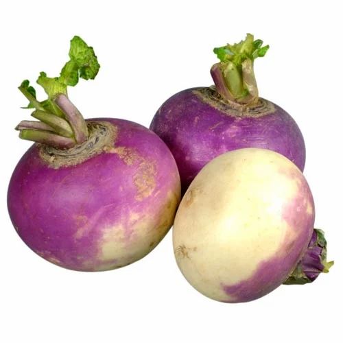 Pink-white Fresh Turnip, For Food, Speciality : High In Protein