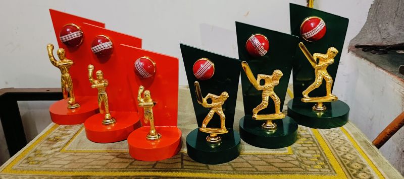 Polished Cricket wooden trophy, Feature : Attractive Designs, Finely Finished