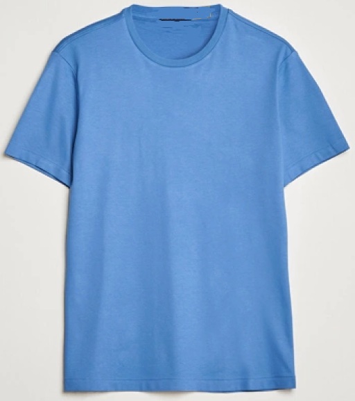 Sky Blue Regular Half Sleeve Plain Cotton Mens T-shirt