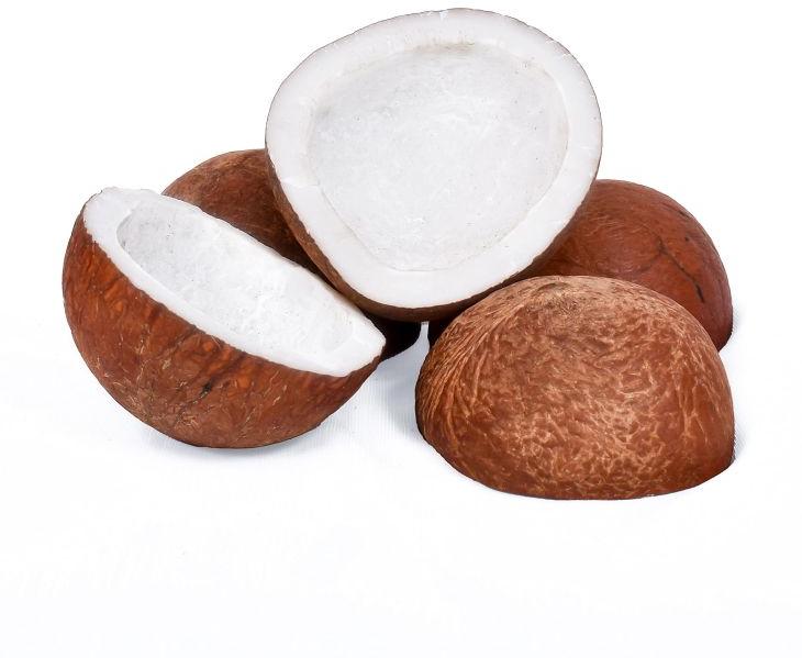 Brown Prakash trader 25 Dry Coconuts