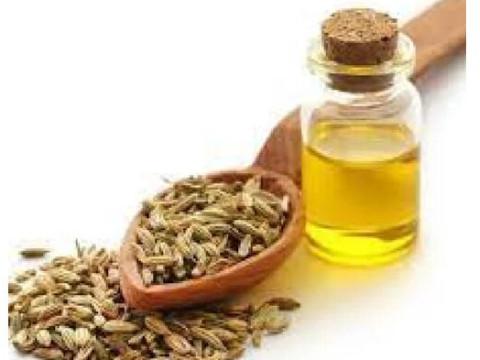 FENNEL SEED OIL