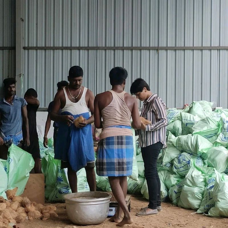 Organic semi husked coconuts, Coconut Size : Medium