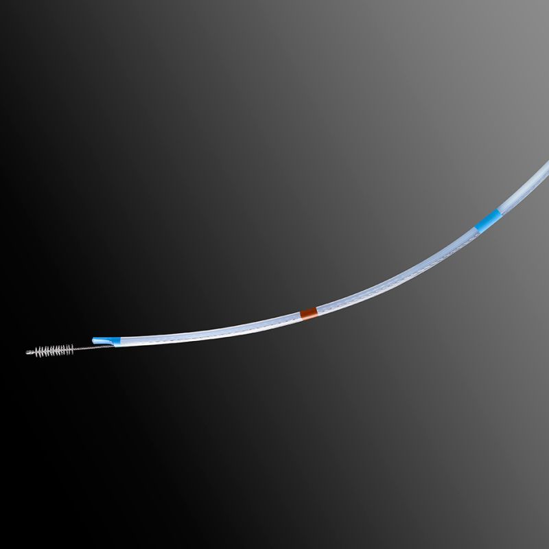 Biliary Cytology Brush Wire Guided