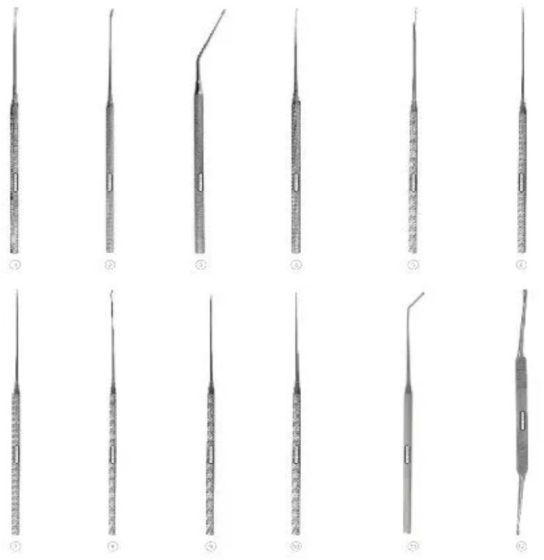 Stainless Steel Austin Middle Ear Set Of 12 Instruments