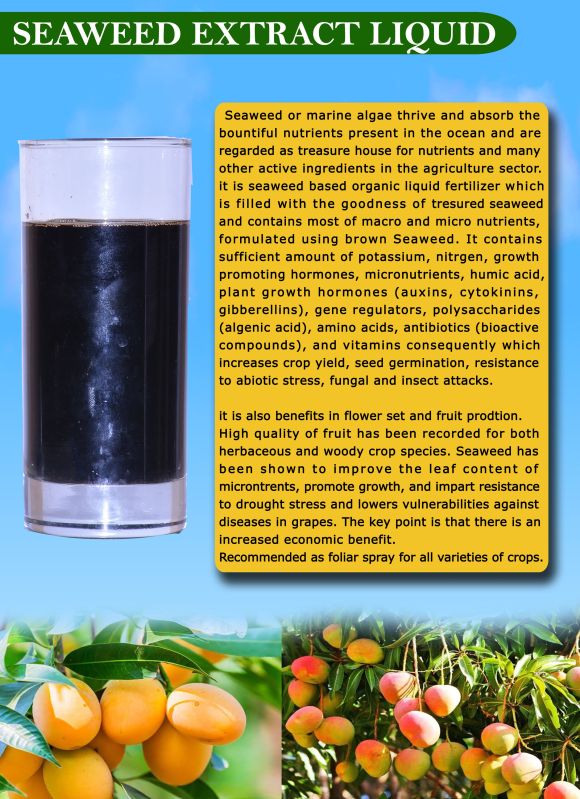 Organic Seaweed Extract Liquid, Grade : Bio Grade