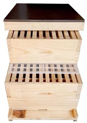Wooden DTC Langstroth Beehive Box, for Agriculture, Packaging Type : Carton