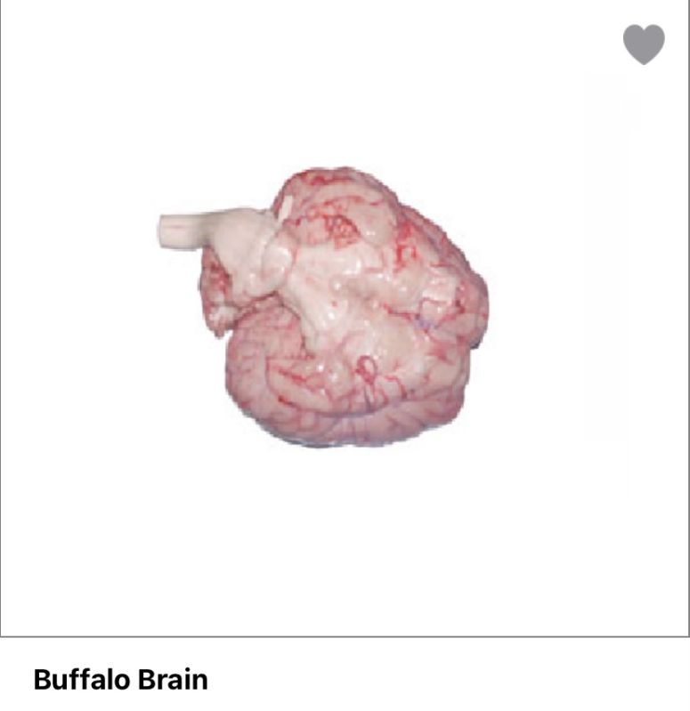 Light Red buffalo brain meat, for Cooking, Style : Frozen