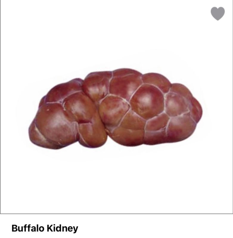 Light Red buffalo kidney meat, for Cooking, Style : Frozen