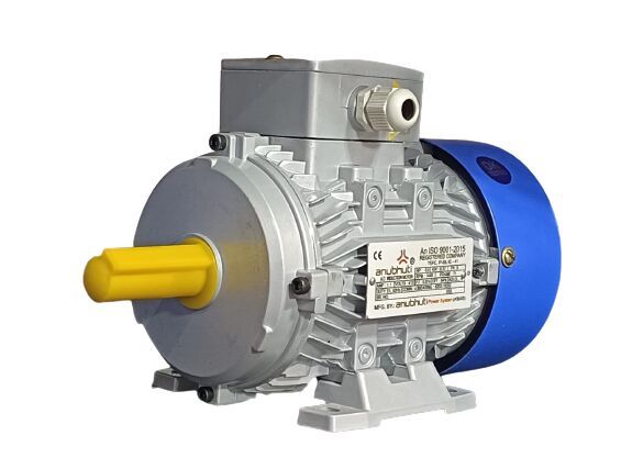 Three Phase Electrical Motors