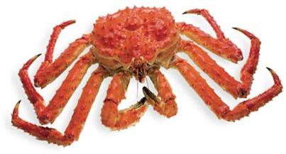 King Crab, Packaging Type : Cartons