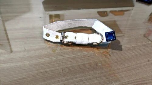Equine Dog Collar, Color : White