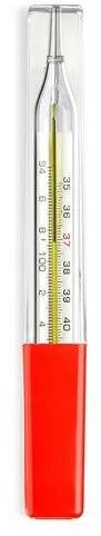 Glass Oval Clinical Thermometer