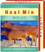 Heat Bolus