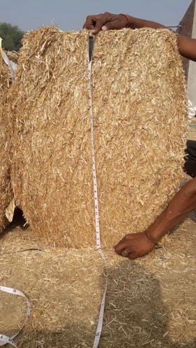Brown Natural Lentil Straw, for Cow Feeding, Feature : Purity, Nutritious, Healthy To Eat