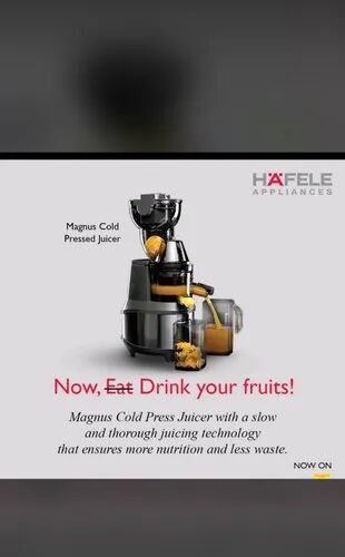 STAINLESS STEEL Cold Press Juicer