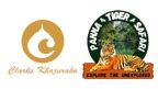 tiger safari services