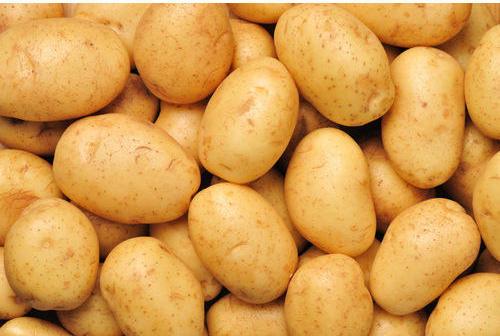 Natural Potato, Shelf Life : 15-20 Days