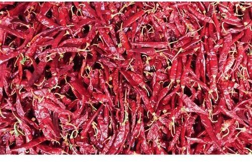 Raw Natural Red Whole Dry Chilli, for Spices, Grade Standard : Food Grade