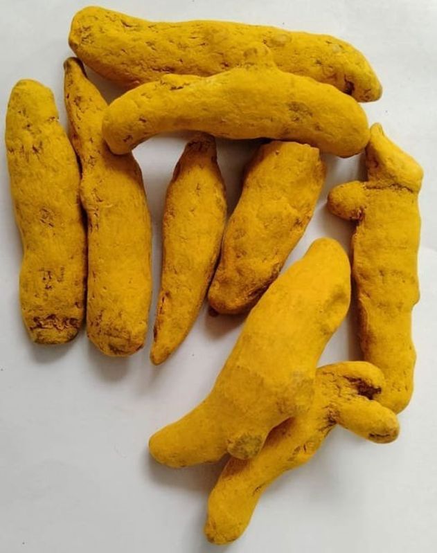 Solid Yellow Turmeric Finger, for Spices, Packaging Size : 25 Kg