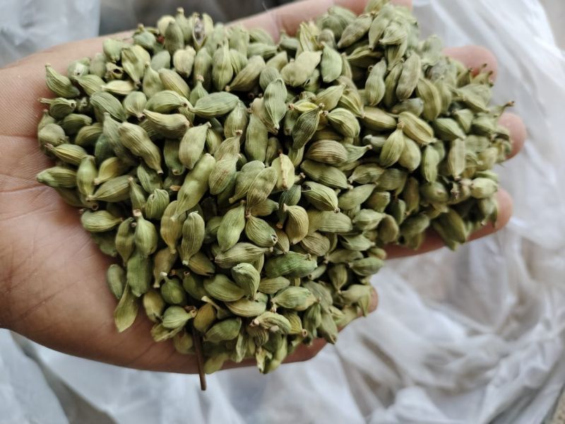 Raw Organic cardamom, for Spices, Color : Green