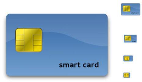 Biometric Access Smart Card