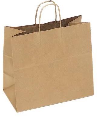 Paper carry bag, Size : 12 x 10 Inch