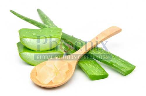 Aloe Vera Extracts, for Medicinal, Style : Natural