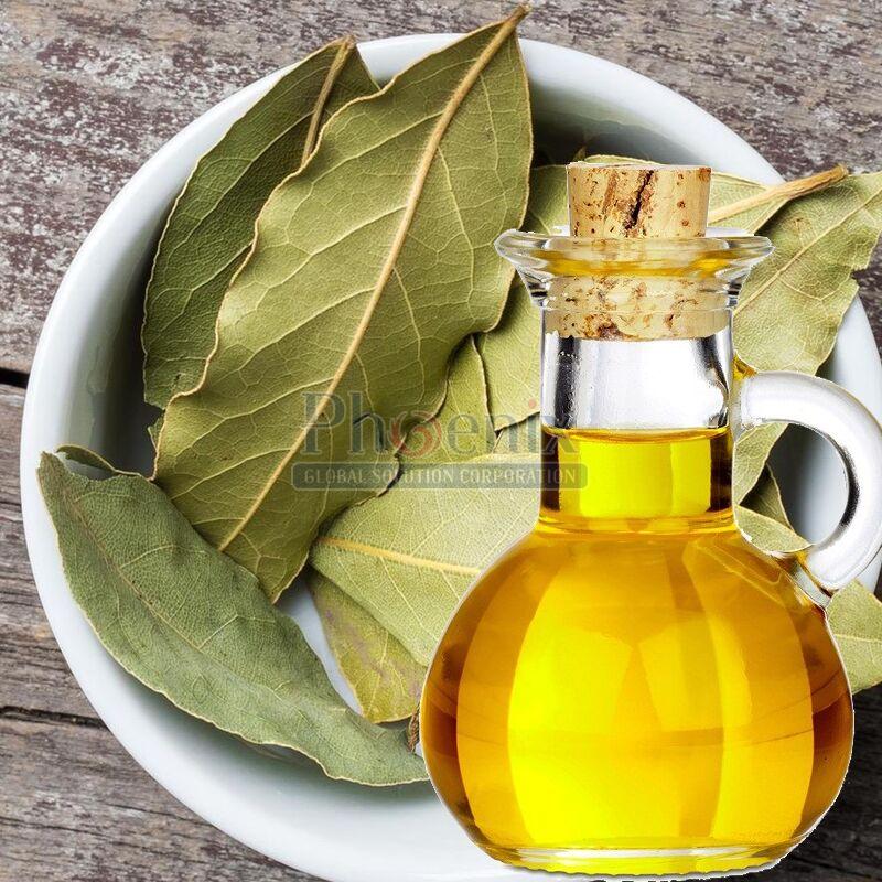 Refined Bay Leaf Oil, for Aromatherapy, Certification : FSSAI Certified