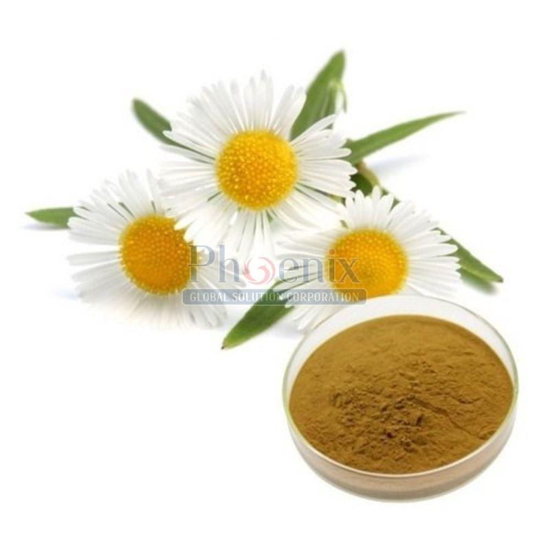 Powder Chamomile Extract, Purity : 100%