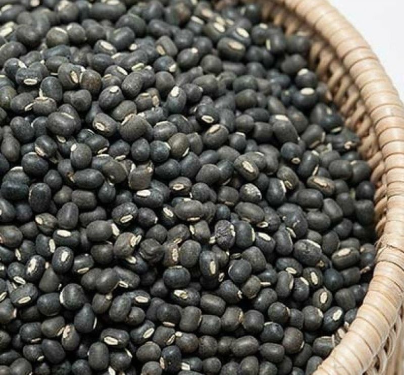 Black Organic Whole Urad Dal, for Cooking, Certification : FSSAI Certified