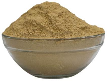 Common Bhoomi Amla Powder, Purity : 99.9%