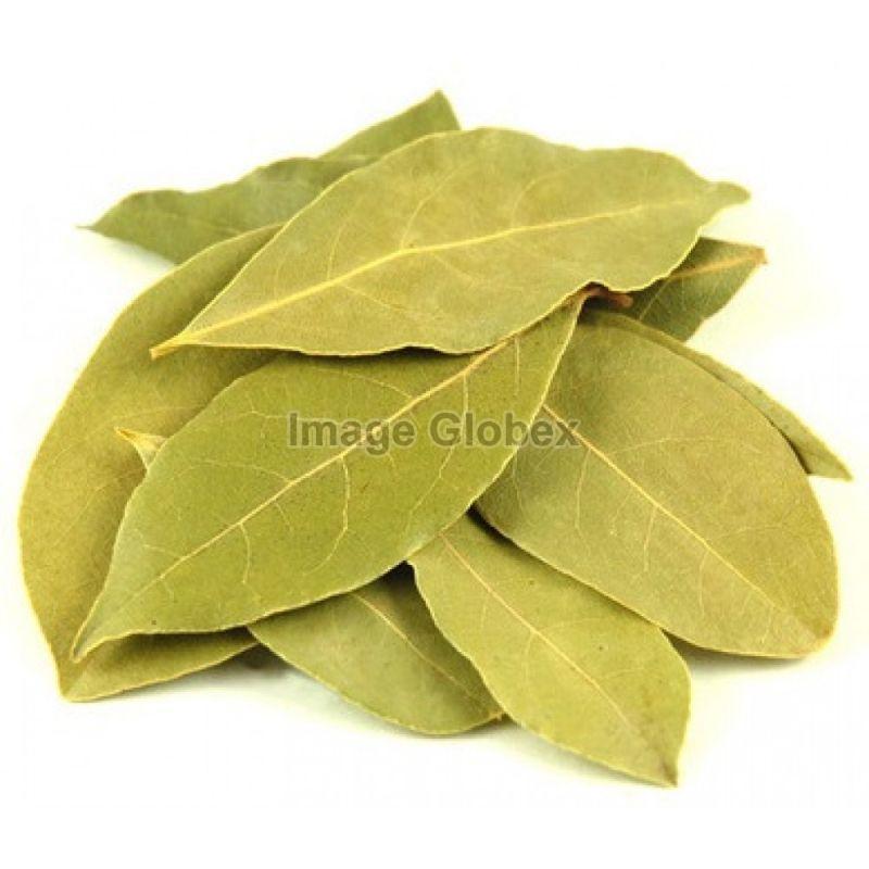 Bay Leaves, Style : Dried