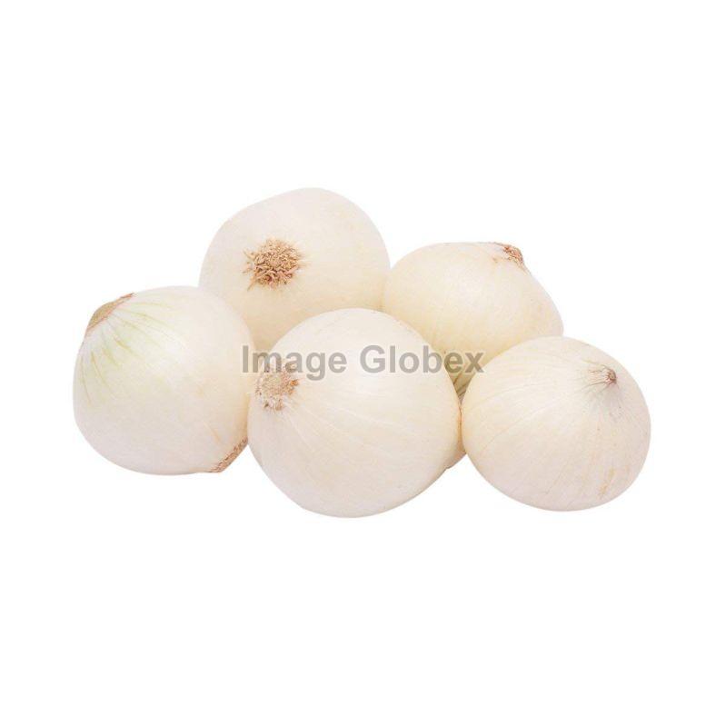 Fresh White Onion