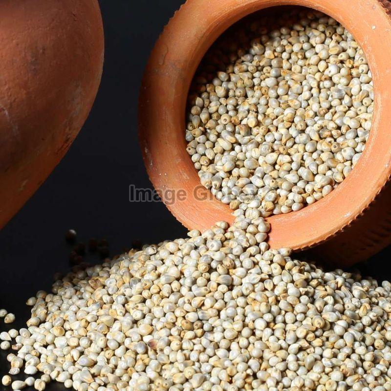 Green Organic Pearl Millets, Style : Dried