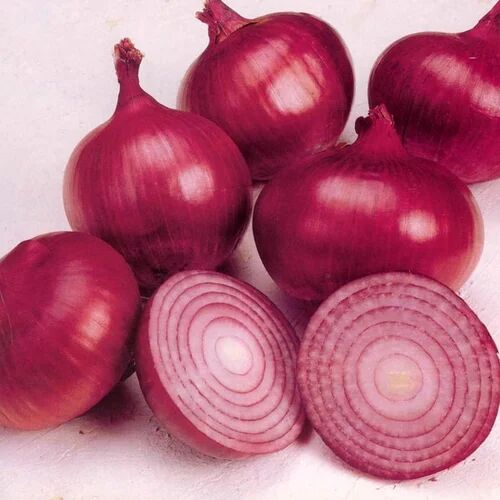Organic Fresh Red Onion, for Cooking, Packaging Type : Gunny Bags