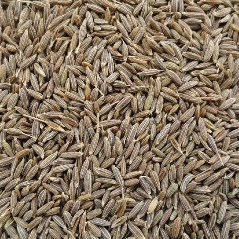 Brown Raw Organic Cumin Seeds, for Cooking, Style : Dried