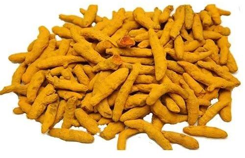 Organic Sangli Turmeric Finger, for Cooking, Spices, Packaging Type : Plastic Bag