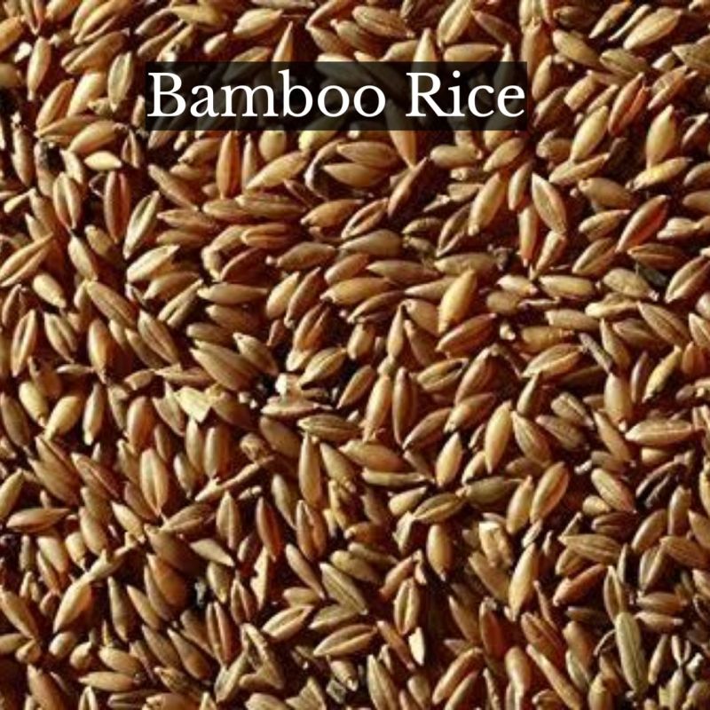 Brown Hard Natural Bamboo Rice, for Cooking, Packaging Type : Gunny Bag