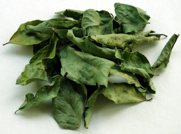 Green Natural Dried Curry Leaves, for Cooking, Certification : FSSAI Certified