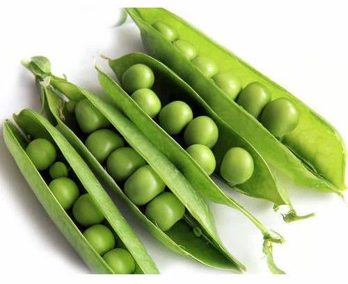 Whole Fresh Green Peas, for Human Consumption, Shelf Life : 10 Days