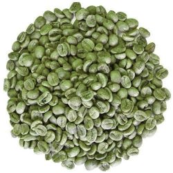 Green Fermented Raw Arabica Coffee Beans