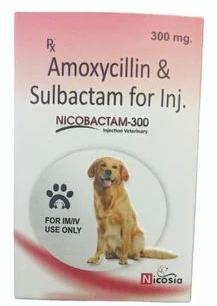 Nicobactan-300 Veterinary Amoxicillin Sulbactam Injection, for To Animals, Packaging Type : Glass Bottle