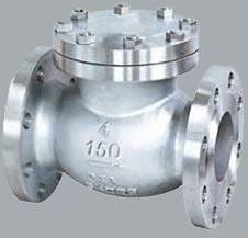 Duplex Steel Check Valves