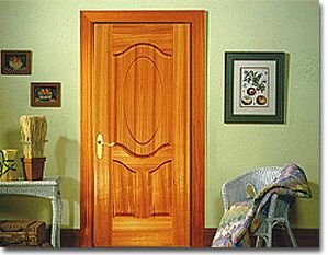 Veneer Doors