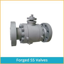 FORGED SS VALVES