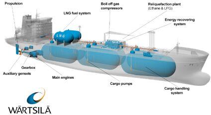 Multi Gas Carriers