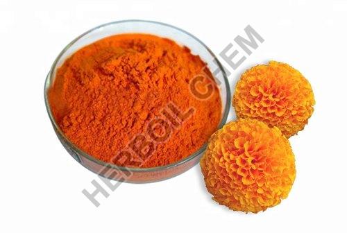Herboil Chem Powder Marigold Extract