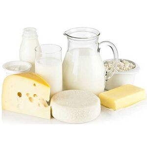 Dairy Product Manufacturing Miniplant