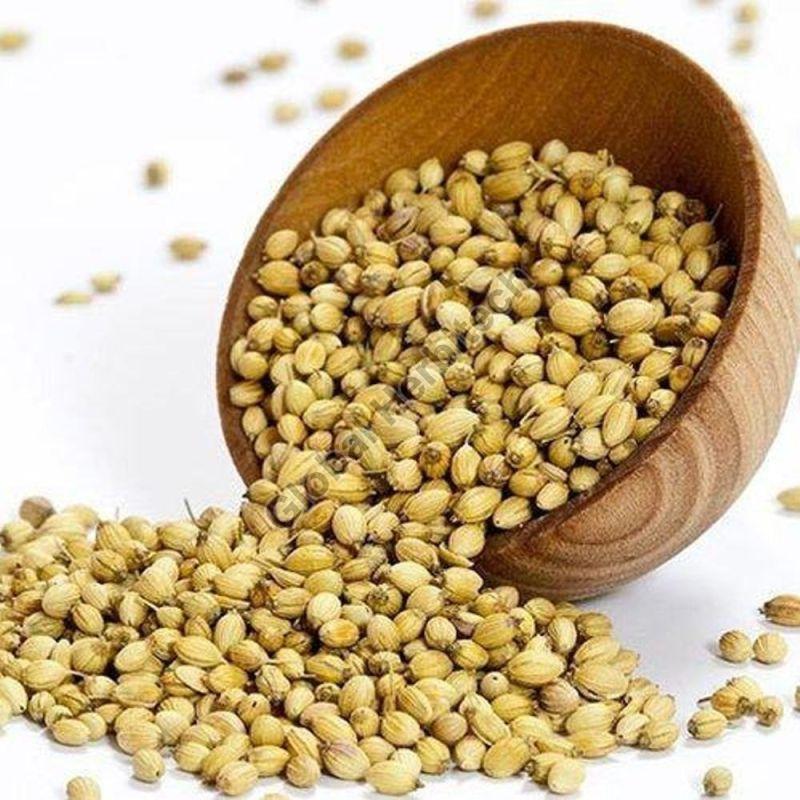 Natural Dried Brown Coriander Seeds, for Food, Packaging Type : Gunny Bag