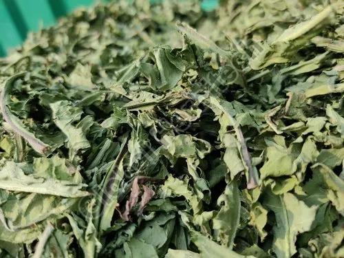 Green Dandelion Leaves Dried Herb, Packaging Type : PP Bag